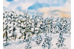 Nachmittag am Schneeberg