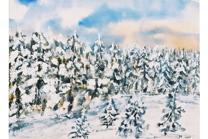 Nachmittag am Schneeberg