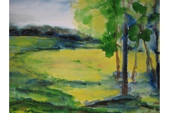 Rapsfeld