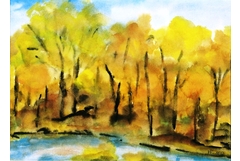 Seerosenteich bei Friedewald