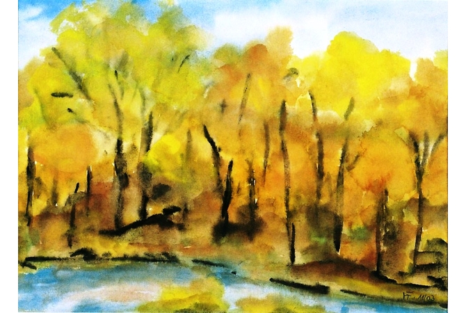 Seerosenteich bei Friedewald