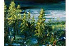 Waldlichtung