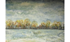 Friedewalder Feld