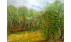 Waldwiese in Friedewald