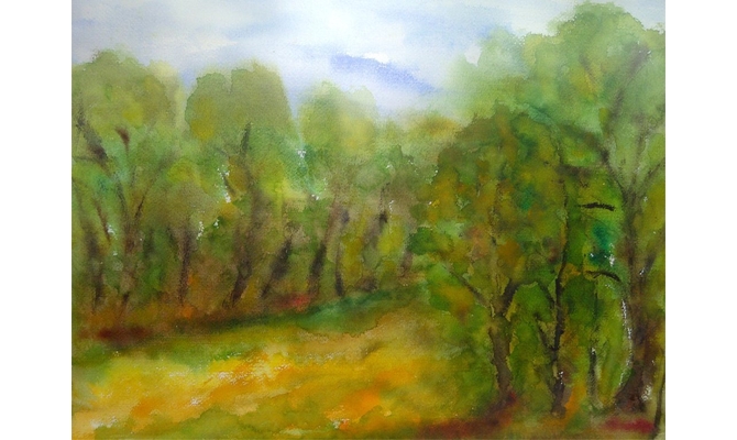 Waldwiese in Friedewald