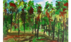 Herbst in Friedewald