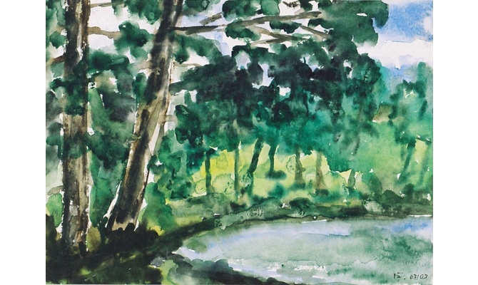 Waldsee