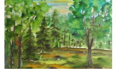 Waldwiese in Buchholz