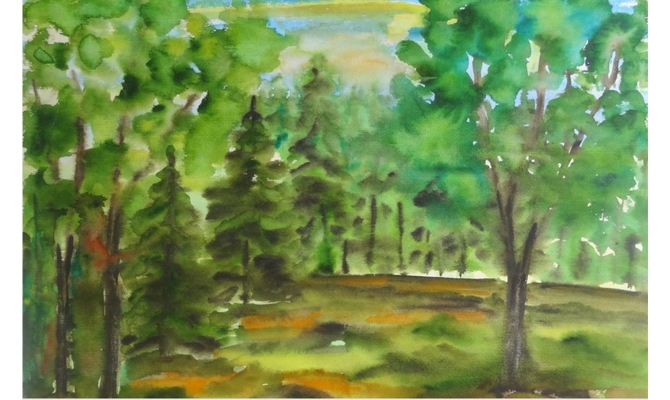 Waldwiese in Buchholz