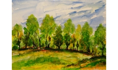 Wiese in Friedewald
