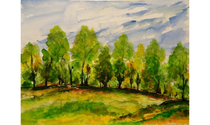 Wiese in Friedewald