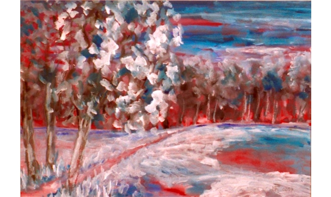 Winter am Auer