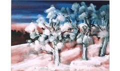 Abendsonne auf Schnee