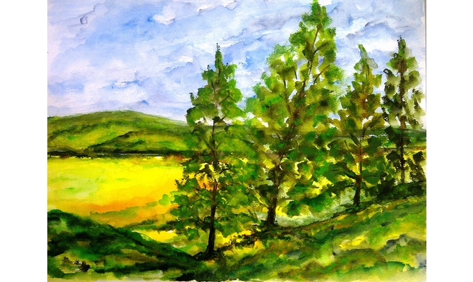 Blick zur Elbwiese