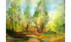 Sonniger Heidewald