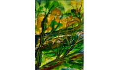 Bruchholz im Wald