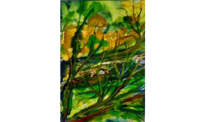 Bruchholz im Wald