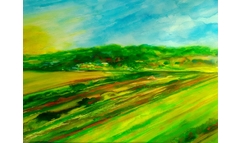 Feld in Friedewald