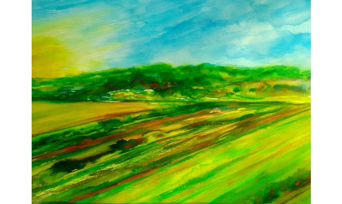 Feld in Friedewald