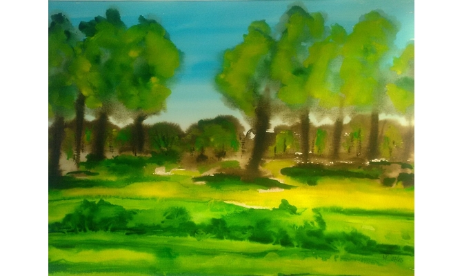 Sommerwiese in Buchholz