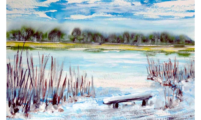 Winter am Teich