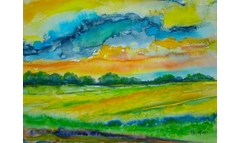 Feld am Auerweg in Abendsonne