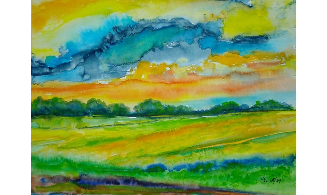 Feld am Auerweg in Abendsonne