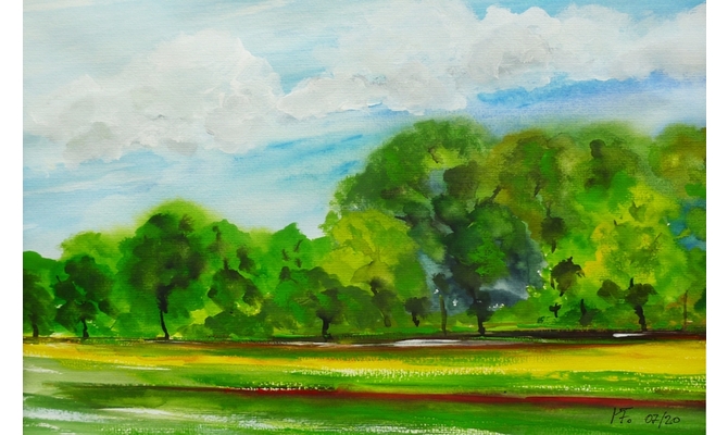 Friedewald Wiese am Auerweg