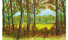 Friedewald im Fruehjahr