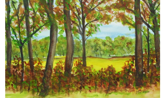 Friedewald im Fruehjahr