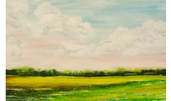 Friedewalder Feld im Mai
