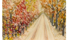 Moritzburg Waldteichstrasse bunter Dezember