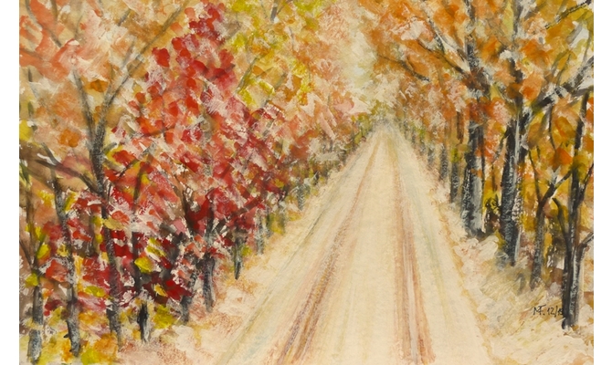 Moritzburg Waldteichstrasse bunter Dezember
