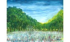 Frostwiese am Kaeuzchenweg