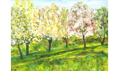 Fruehlingswiese in Friedewald