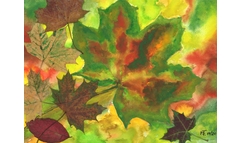 Herbststimmung in Friedewald