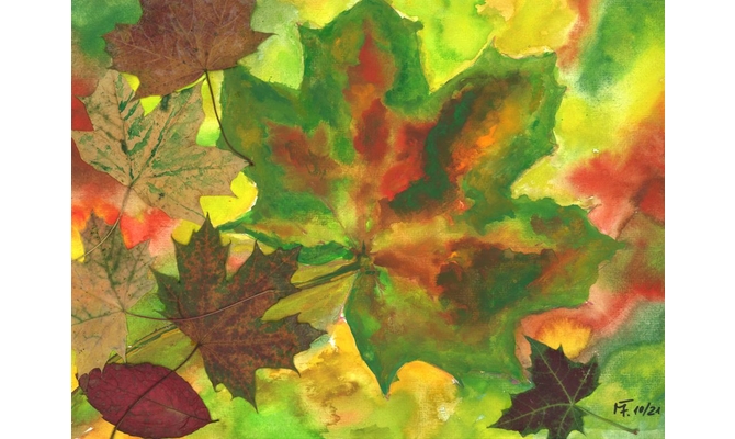 Herbststimmung in Friedewald