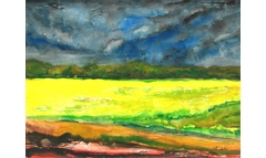 Sommerfeld in Friedewald
