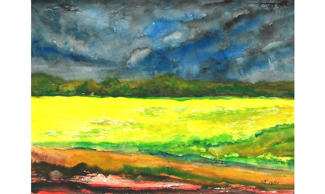 Sommerfeld in Friedewald