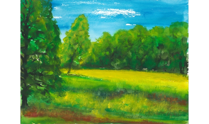 Friedewald-Maiwiese