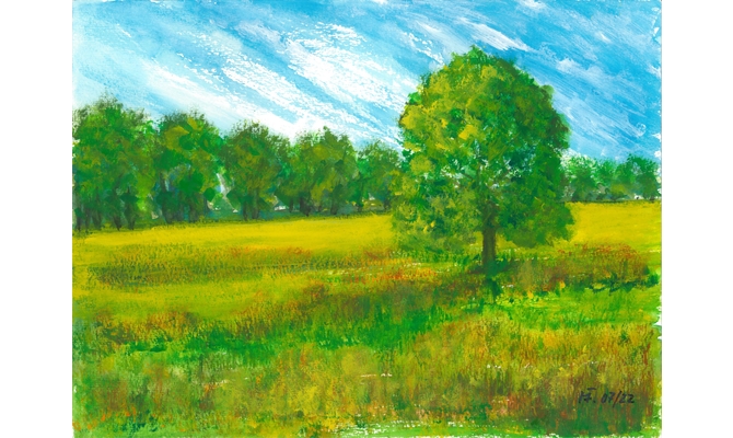 Friedewald-Planstrasse