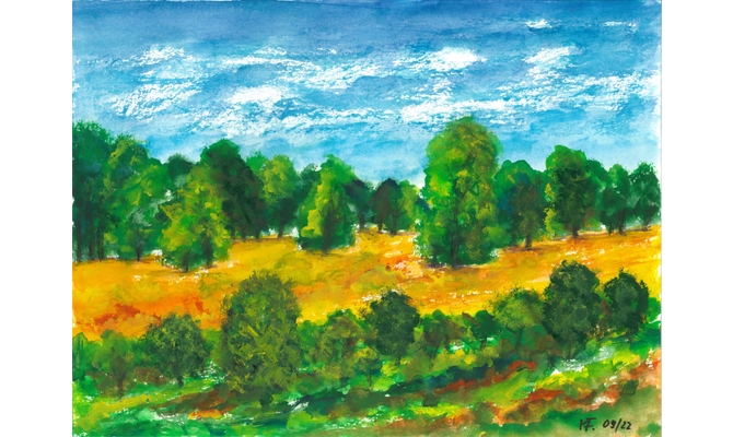 Friedewald-Spätsommerwiese