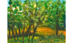 Friedewald-Waldlichtung