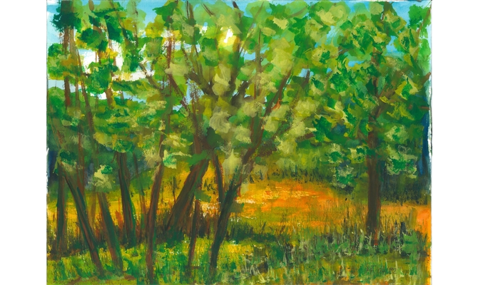 Friedewald-Waldlichtung