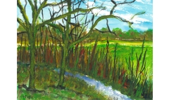 Friedewald-Wiesenbach am Käuzchenweg
