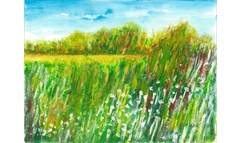 Frühling am Waldrand