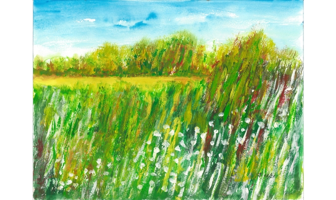 Frühling am Waldrand