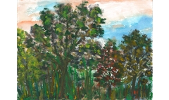 Herbstlicher Wald