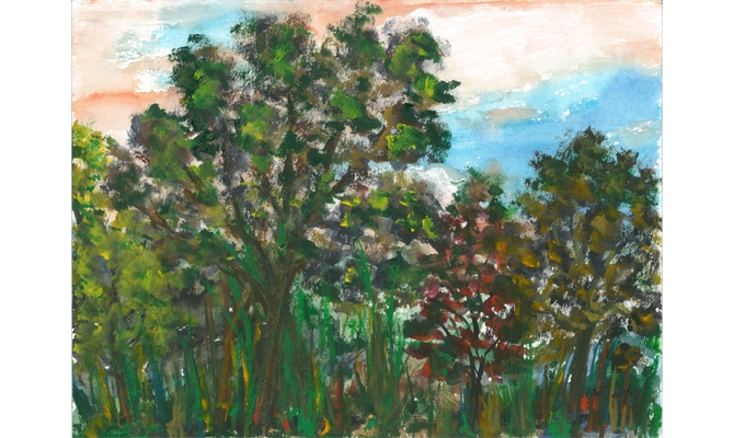 Herbstlicher Wald