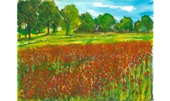 Radebeul-Mohnwiese